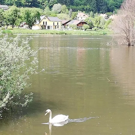 Natura 2000 * Steindorf am Ossiacher See